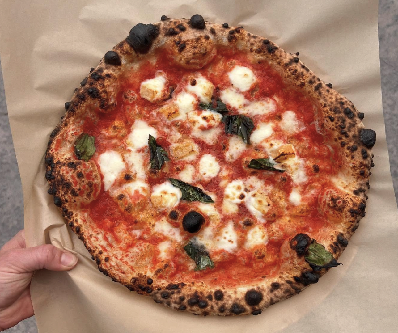 Overhead margherita on parchment paper, blistered leopard-spotted crust, fresh basil and burrata